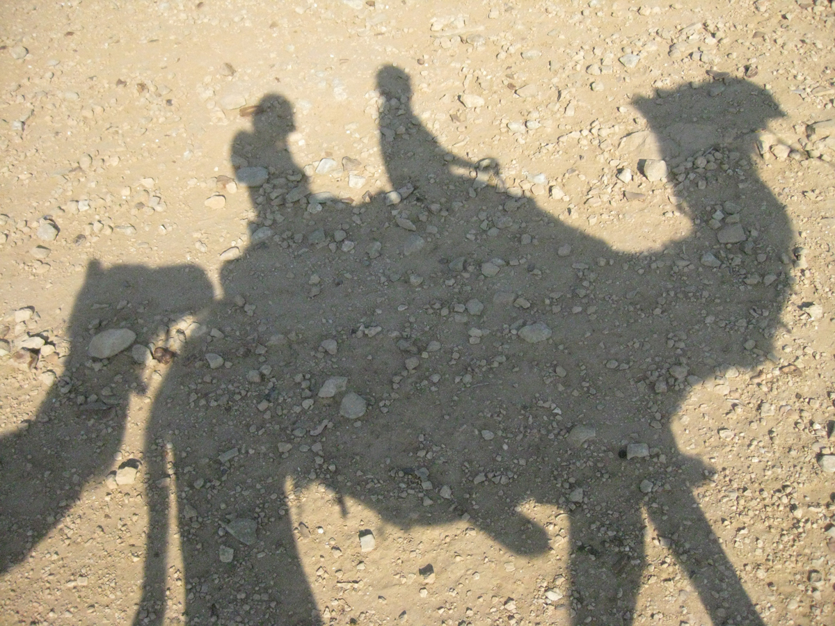 birthright camel ride