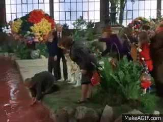charlie and the chocolate factory gif