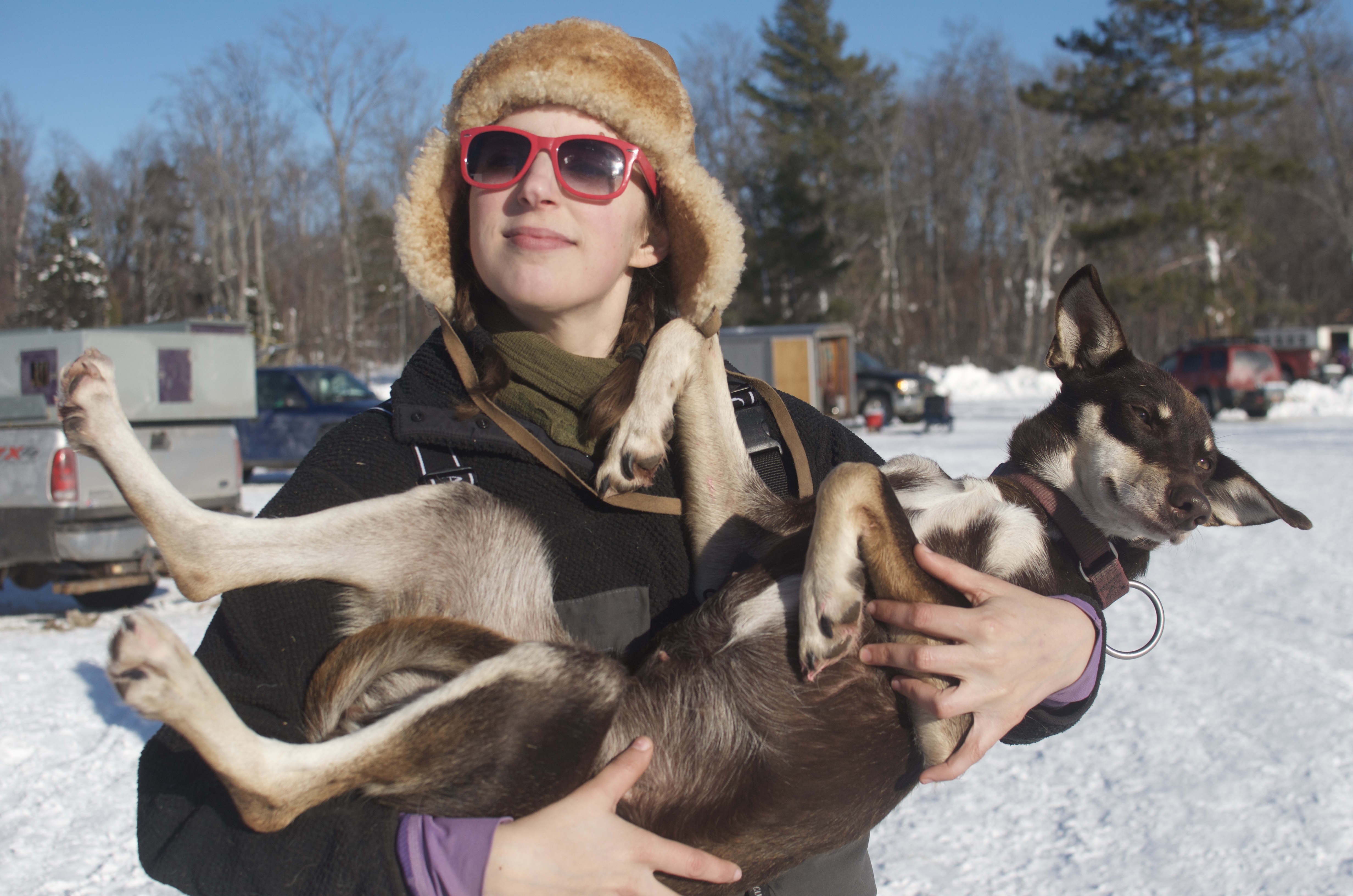 Blair Braverman and her dogs