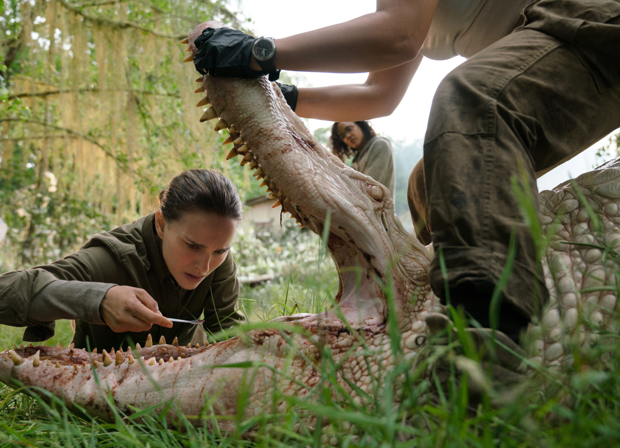 Annihilation still