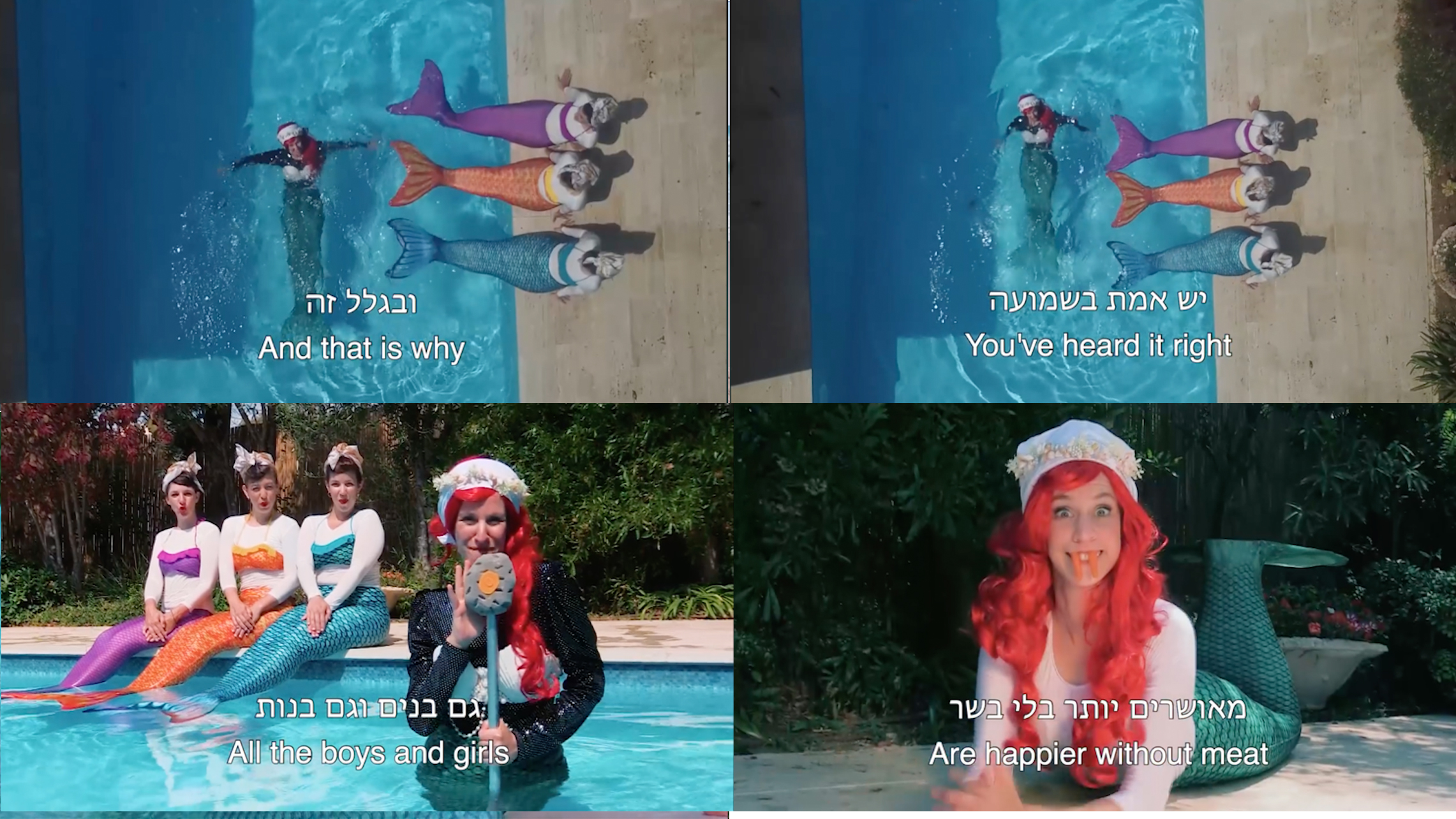 kosher mermaid