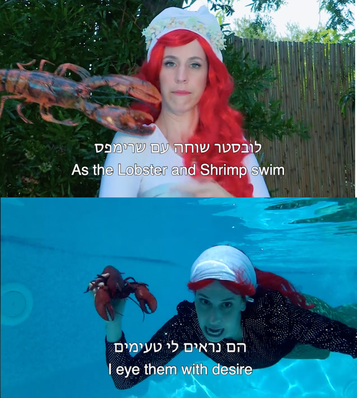 lobster kosher mermaid