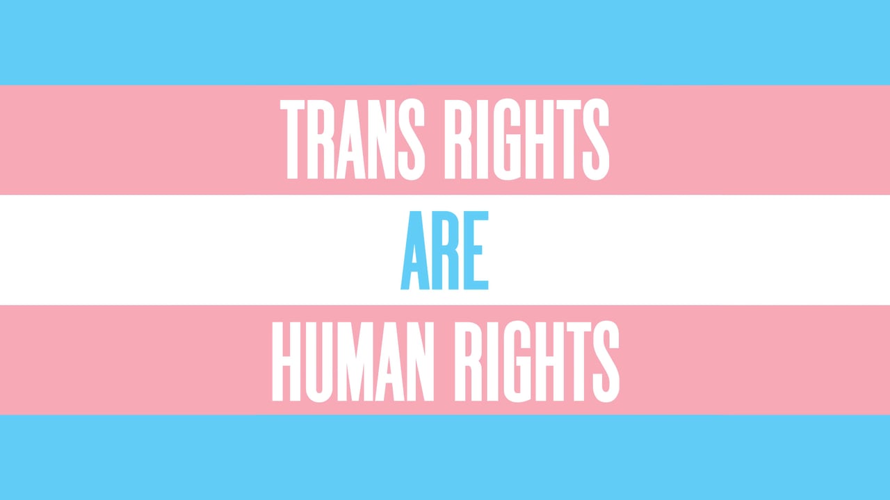 trans rights