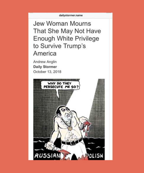 daily stormer article targeting jewish woman