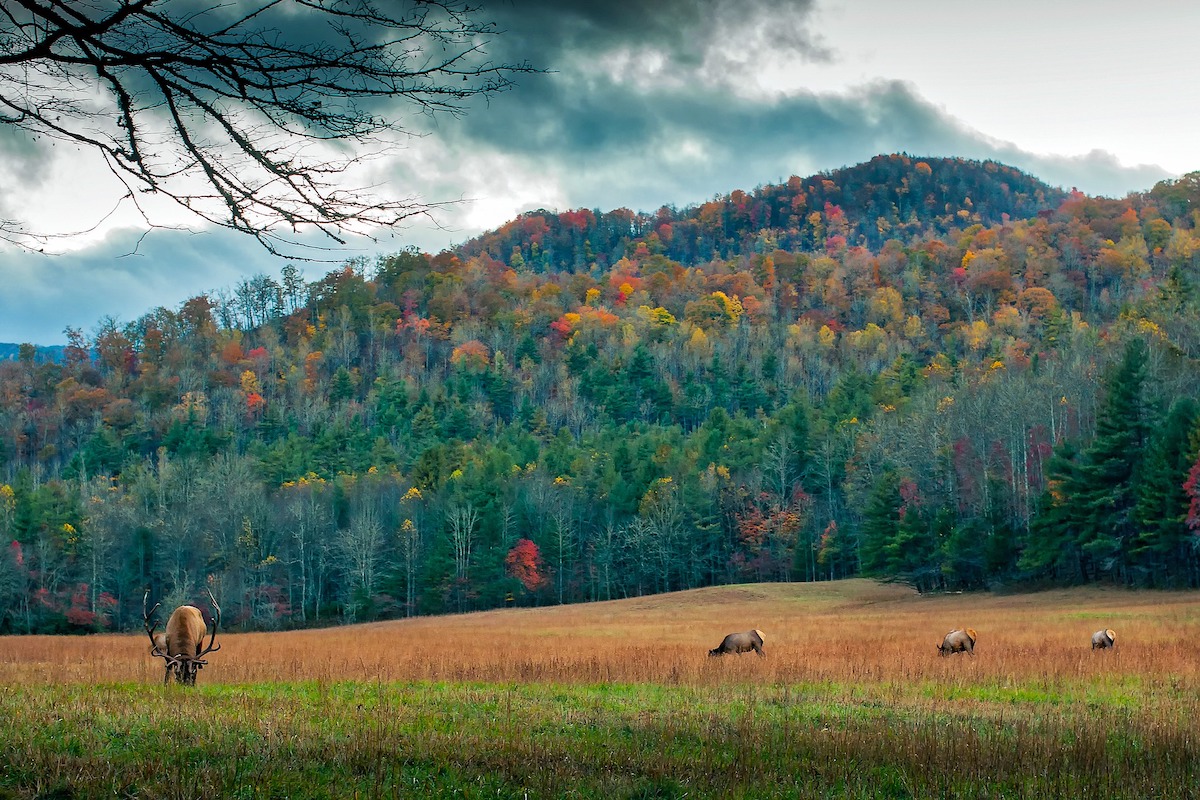 north carolina