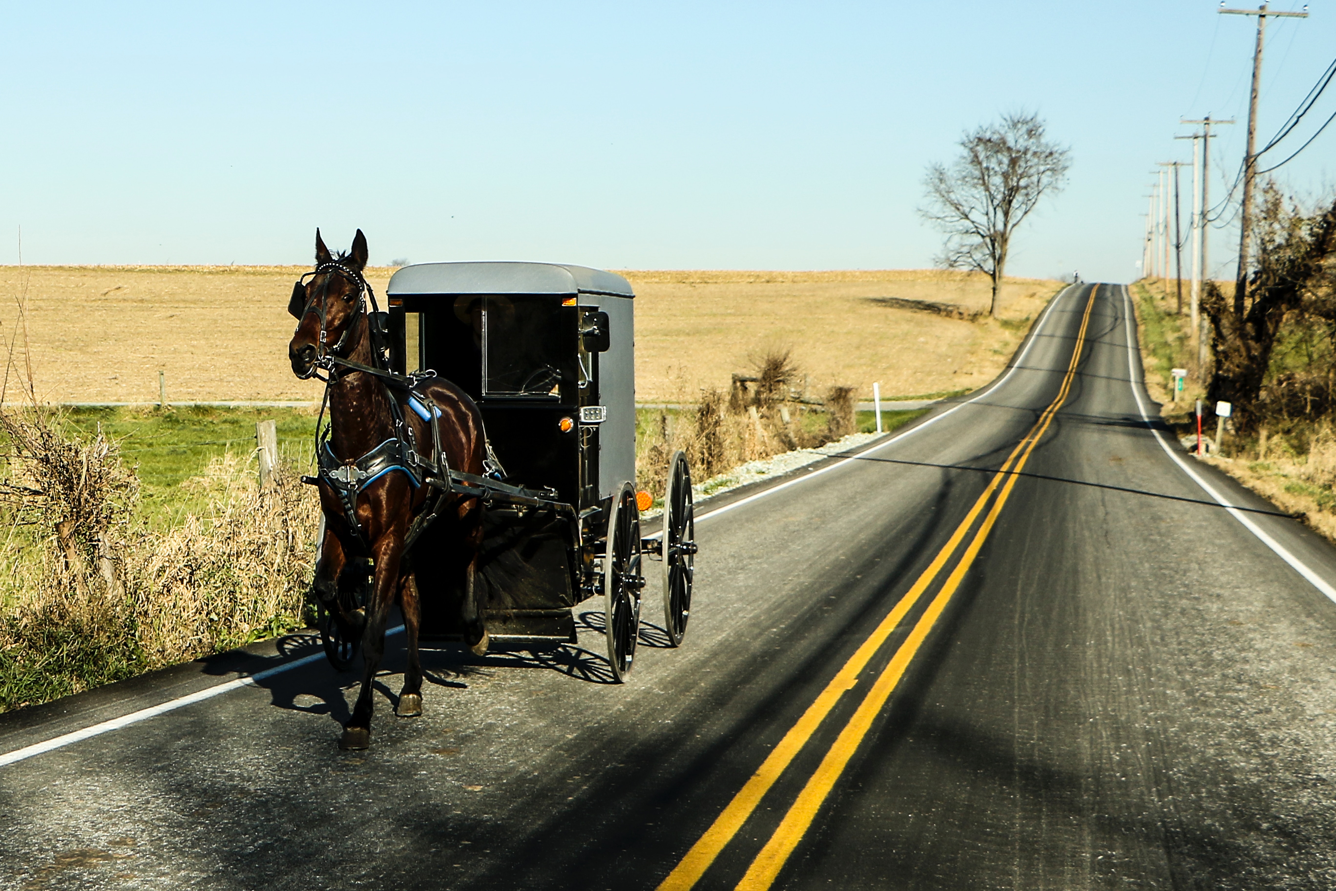 jewish in amish country