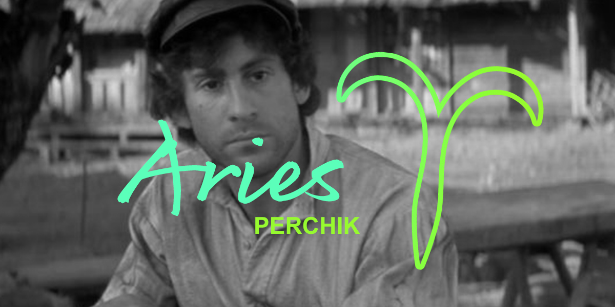 aries perchik