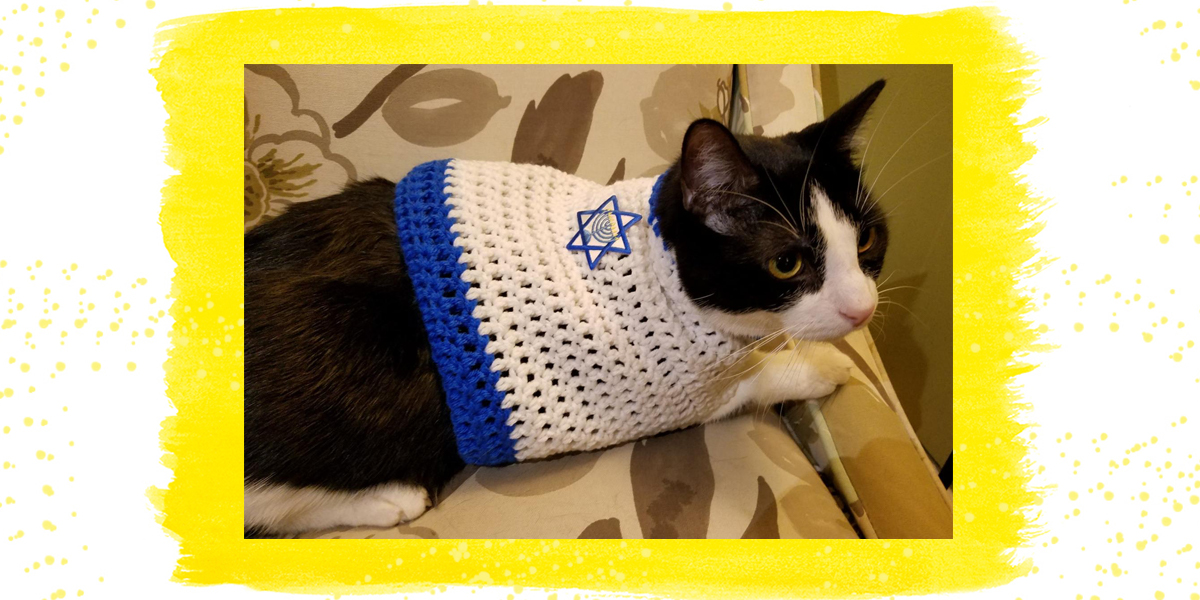 hanukkah cat sweater