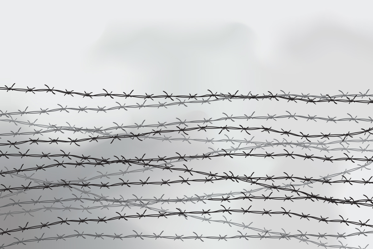 barbed wire fence