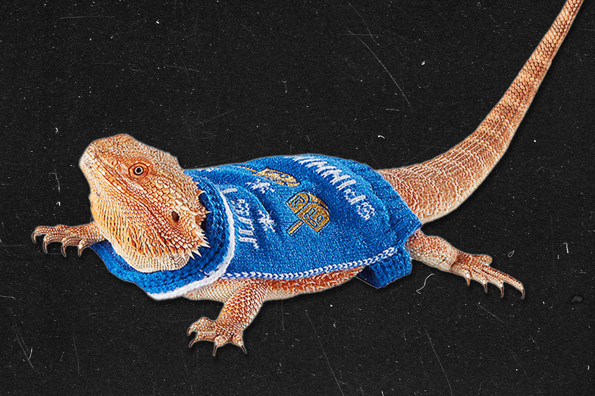 Finally Someone Made a Hanukkah Sweater for Reptiles - Hey Alma