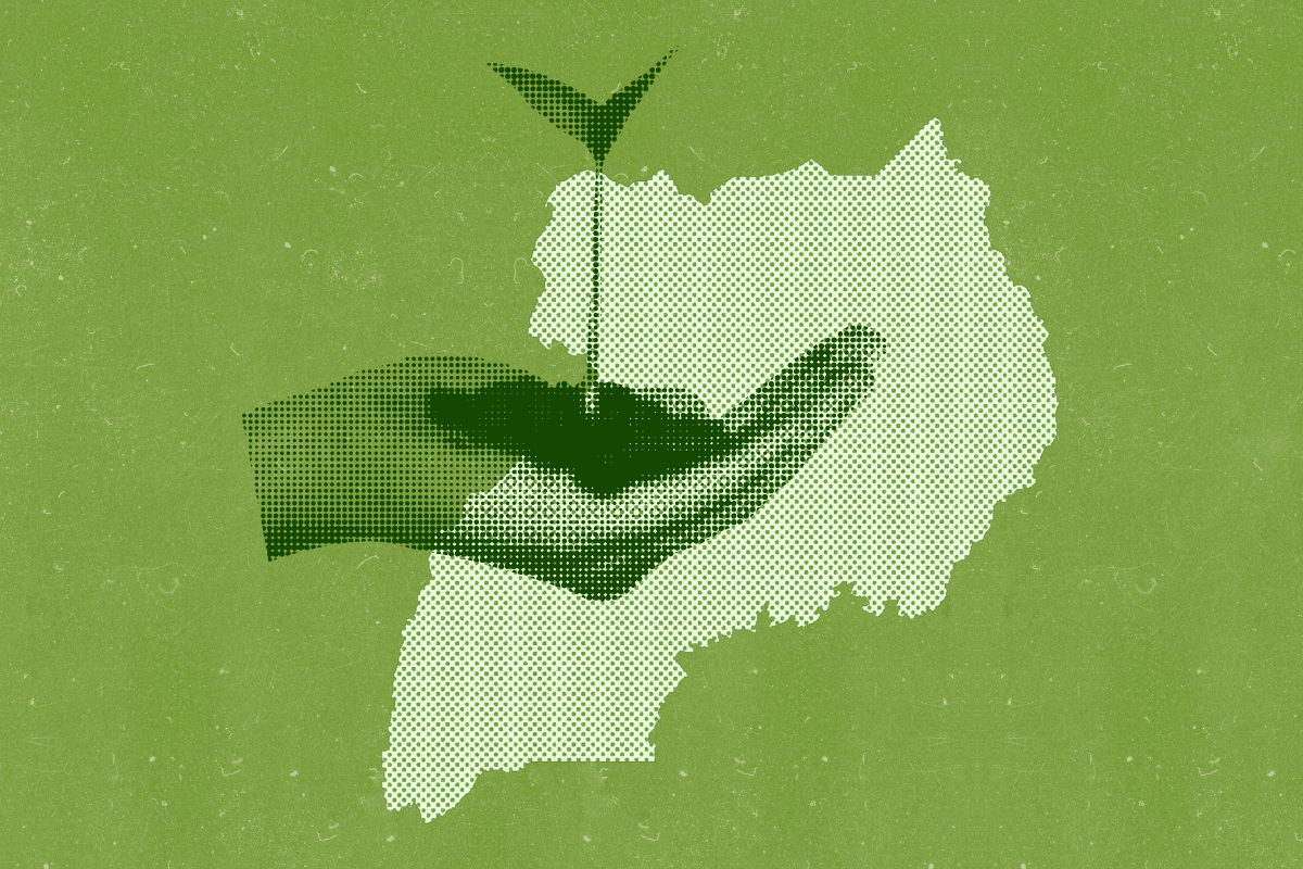 A hand holding a plant sprouting in dirt over an outline of Uganda.