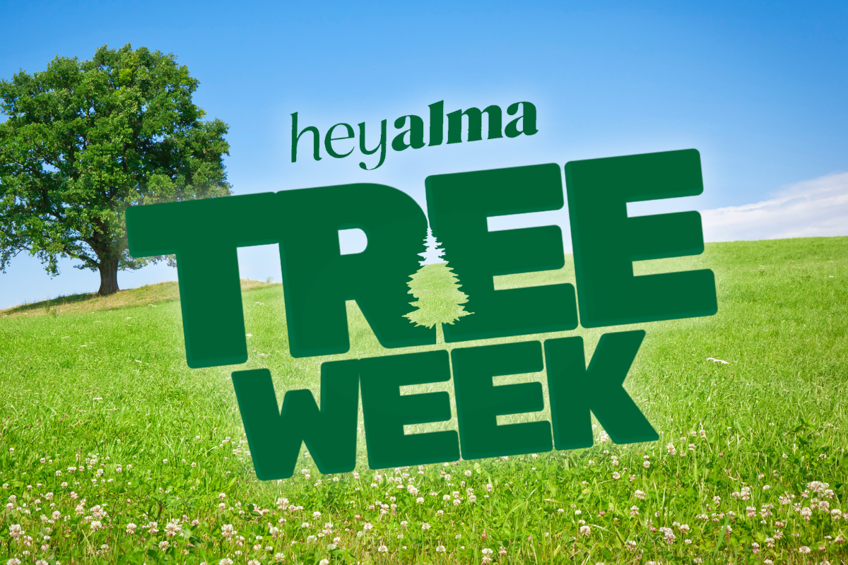 green words that say hey alma tree week on a background of a beautiful day outdoors: blue sky, green grass, and a big tree in the distance