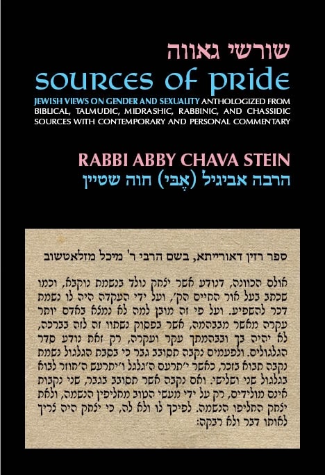 Sources of Pride by Rabbi Abby Stein