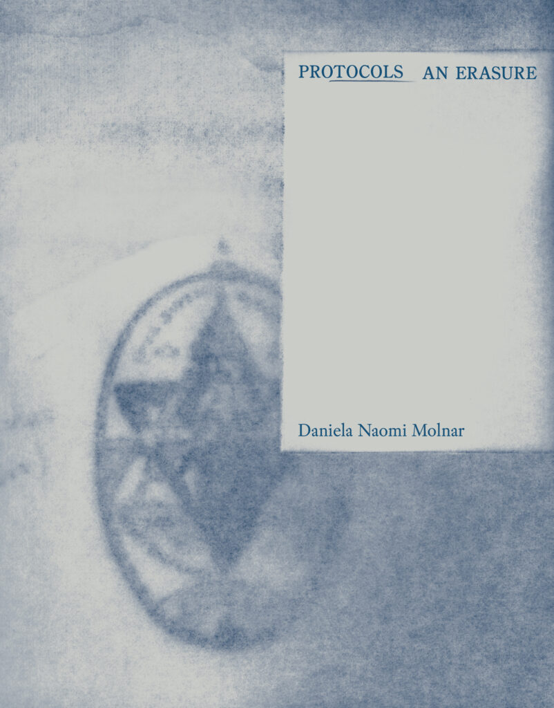 "Protocols: An Erasure" by Daniela Naomi Molnar