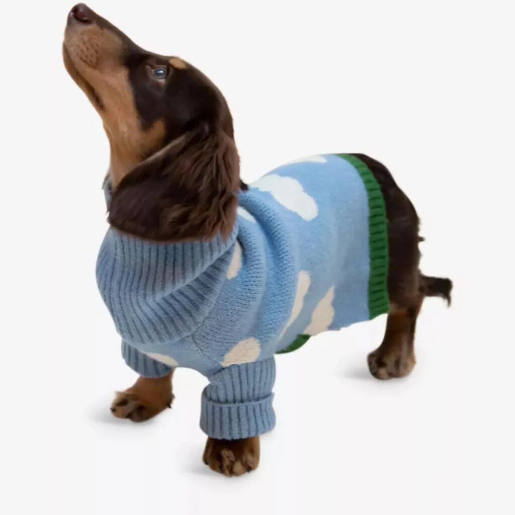 Dog Cloud Jumper by PawLondonCom (Etsy)
