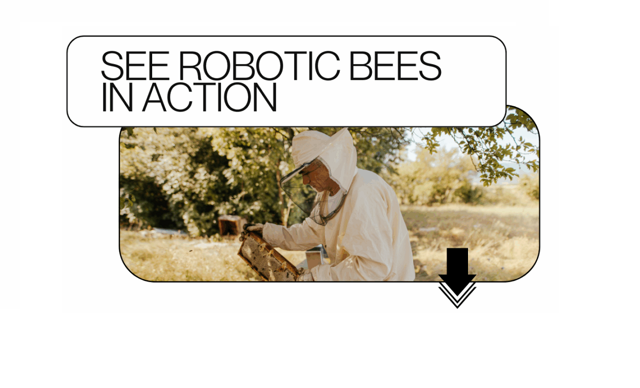 RH-Webpage-Header-Image-e1758213164481