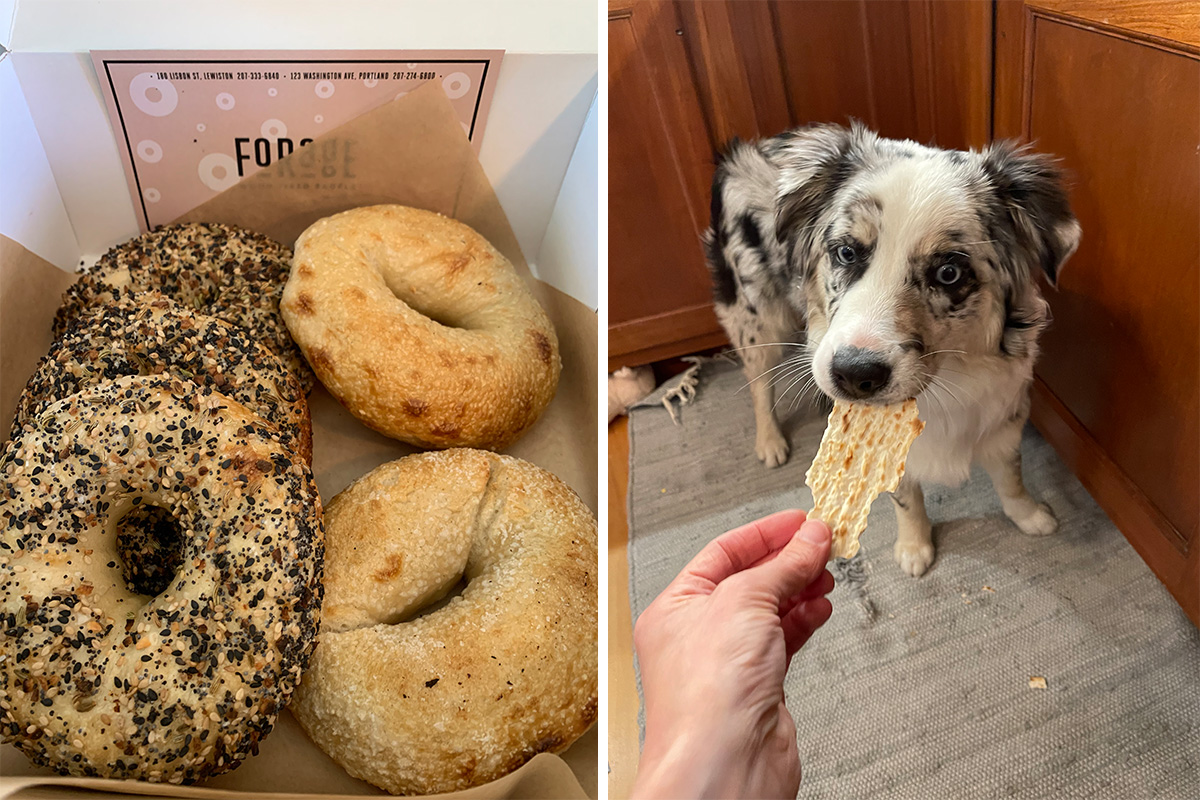 On the left, bagels from Forage Market. On the right, a dog eating matzah.
