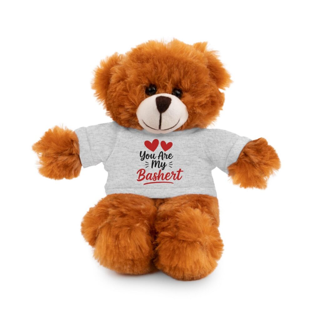 You Are My Bashert Plush by EverythingJewish (Etsy)